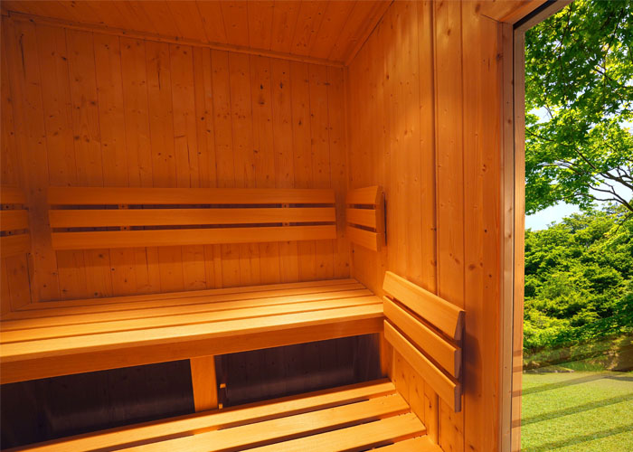 Oceanic Outdoor Sauna model E2020 window panel interior
