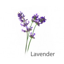 Aroma Lavender 1 litre