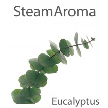 Aroma Eucalyptus 5 litre